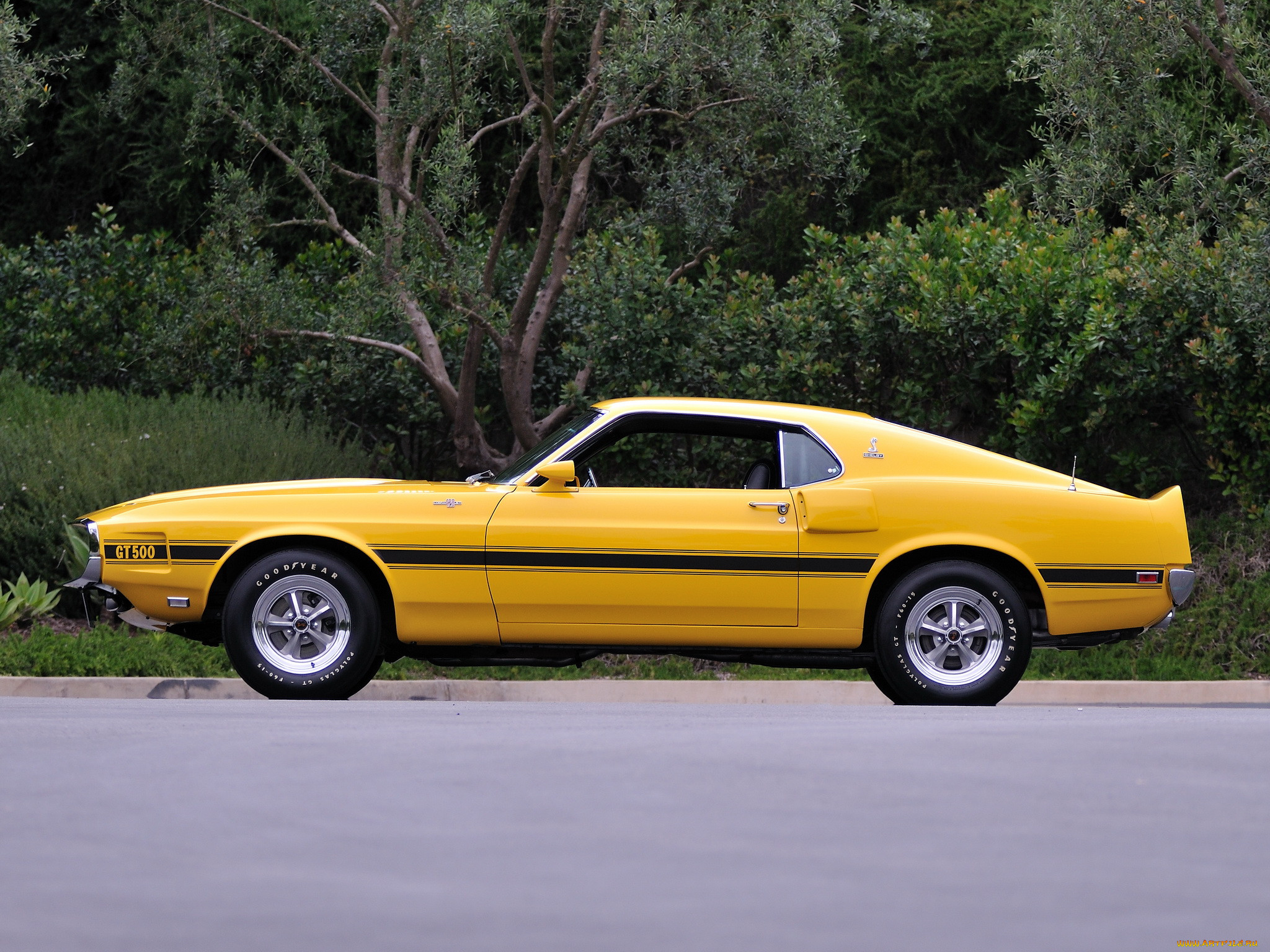 , mustang, , 1969, gt500, shelby